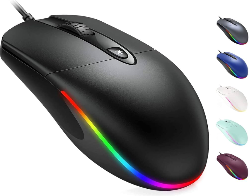 mouse